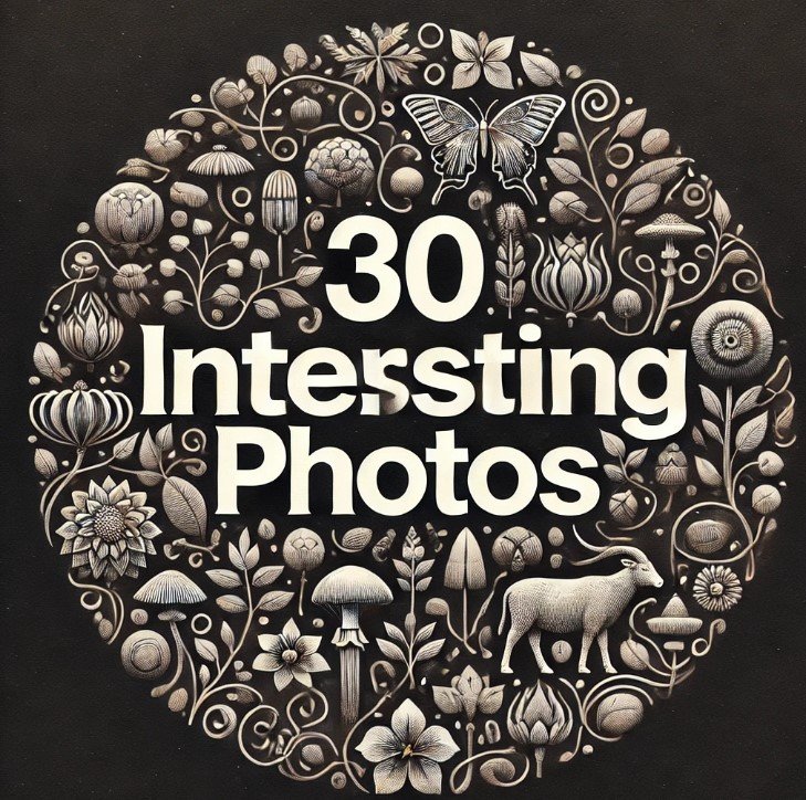 Pictures That Will Make You Do a Double Take