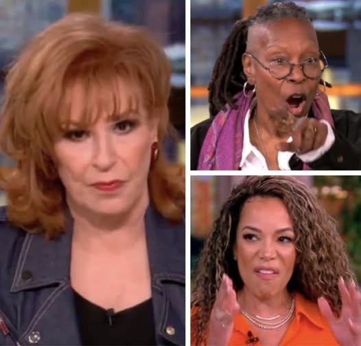 ‘The View’ Hosts In Hot Water After ABC Gives Them This Warning