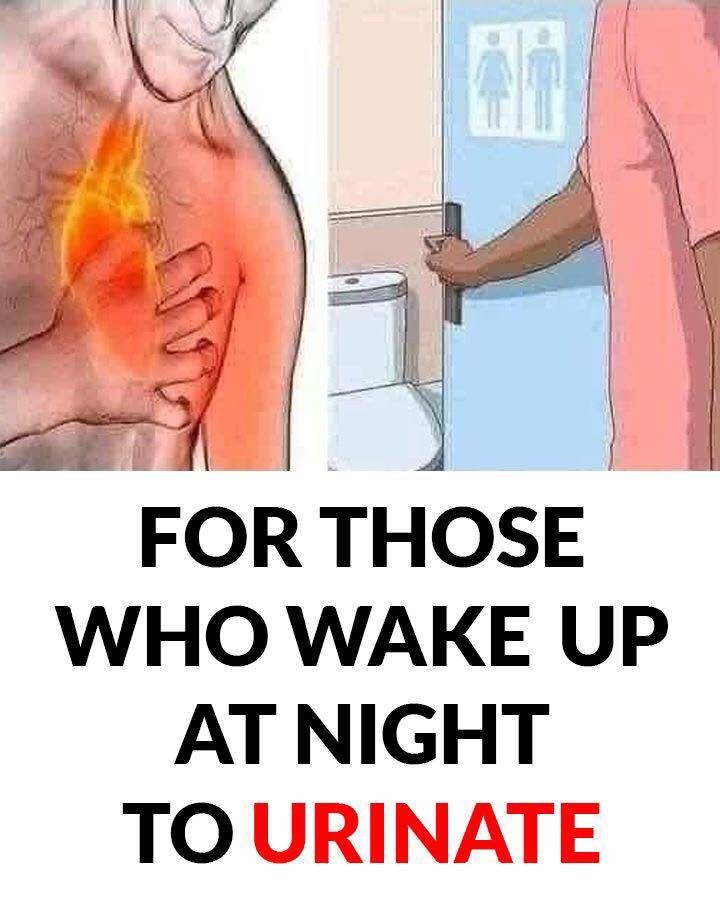 Excessive Urination: Causes, Symptoms, and When to Worry