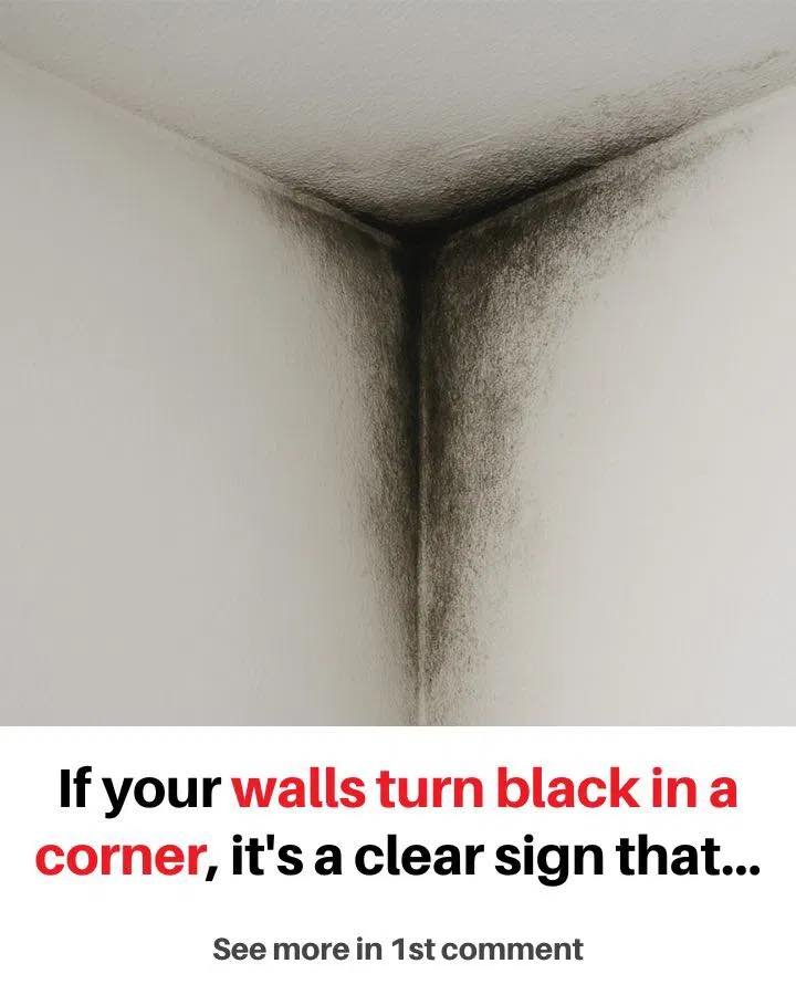 If your walls are turning black in a corner, it’s no accident: find out what it really means (and how to fix it)