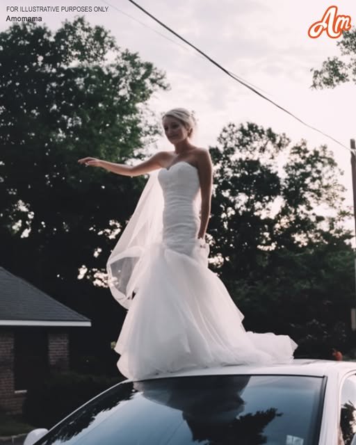 I Stepped Outside One Morning and Saw