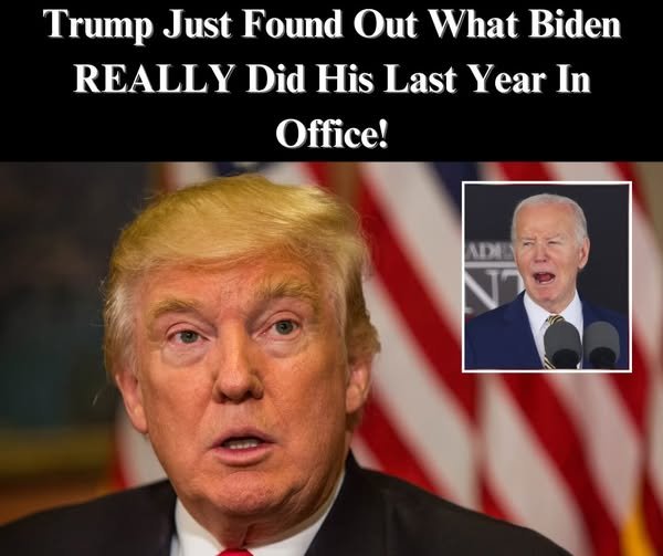 Trump Policies Already Working To Lower Costs For Americans: White House