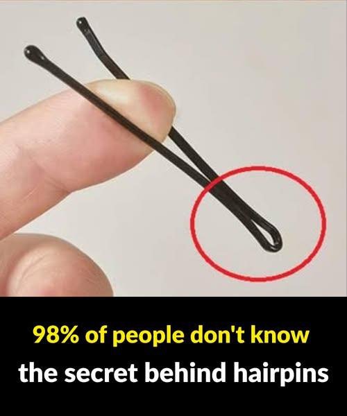 The Surprising Potential of Hairpins- 98% Of People Don’t Know The Secret Behind