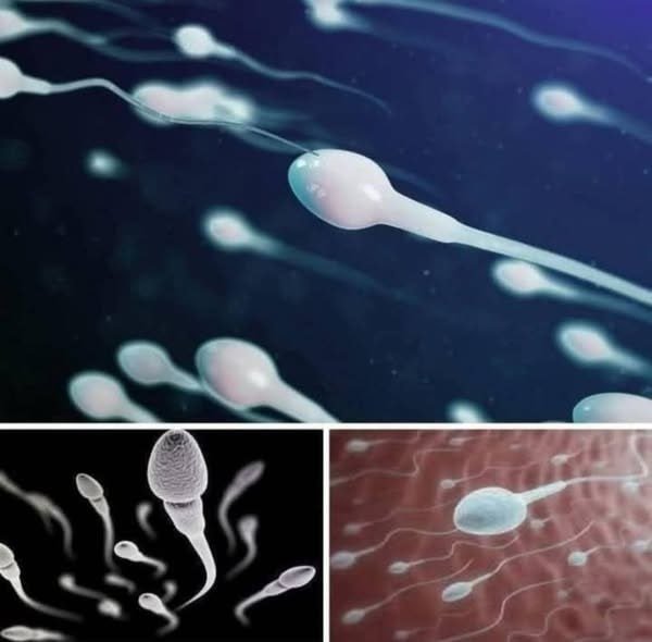 Many know! Studies reveal that swallowing your partner’s semen… See more