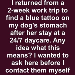 Why Everyone’s Getting Tattoos of Their Pets