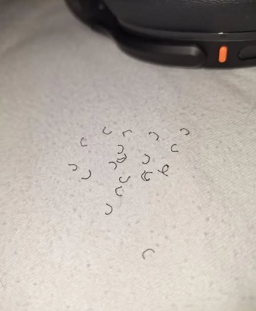 Woke Up To This On Your Bed?