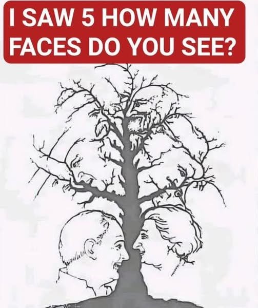 This Optical Illusion Is Hiding Faces—Can You Find Them All?