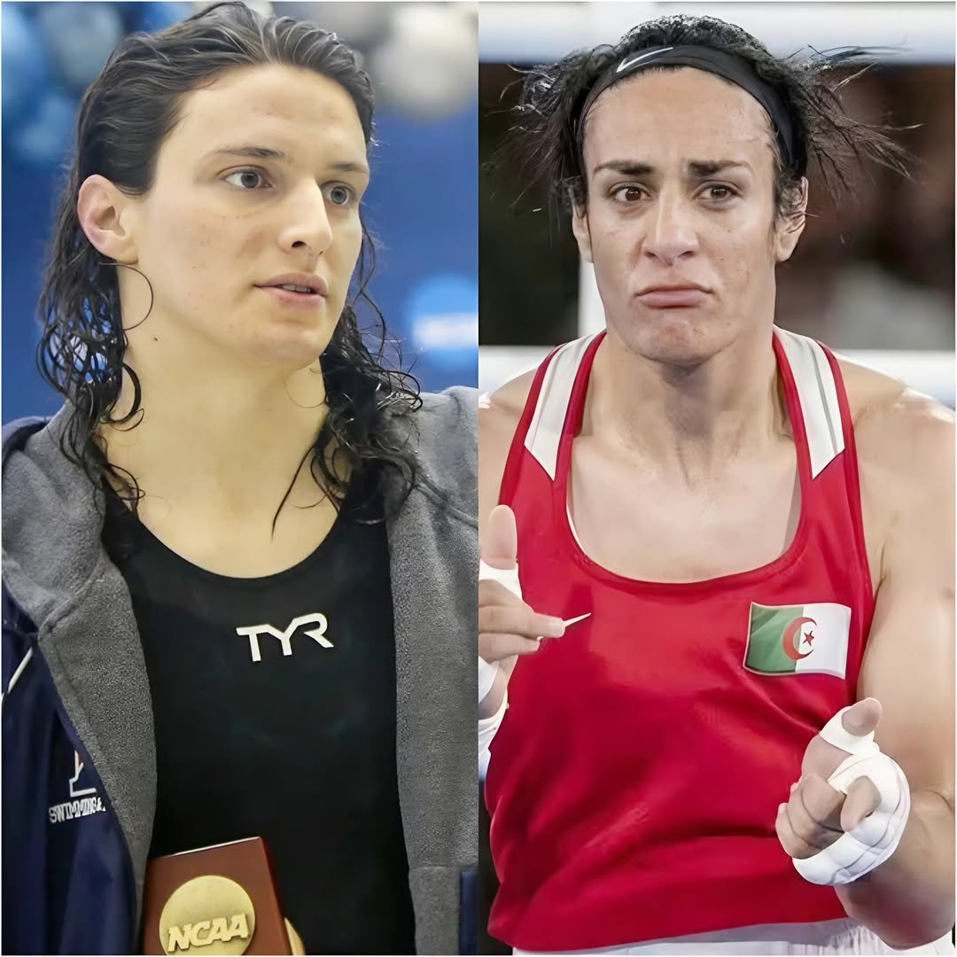 BREAKING NEWS Court decides NOT to recognize transgender women as legal women, requires RETURN of all titles and prize money from previous women’s competitions