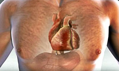 One Month Before A Heart Attack, Your Body Will Warn You Of These 7 Signs