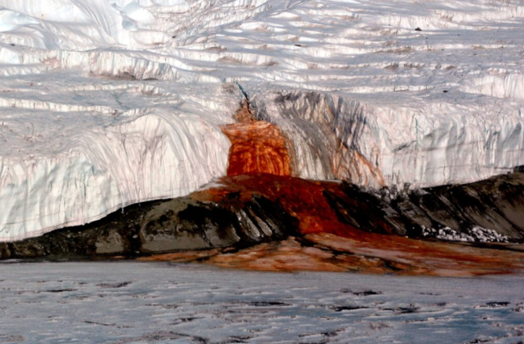 The Mystery Behind The Blood Falls In Antarctica
