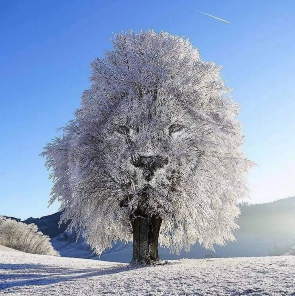 The optical illusion that reveals a lot about your personality depending on what you see first