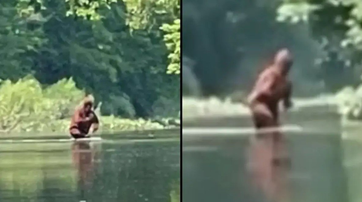 ‘Bigfoot And Baby Sasquatch’ Caught On Camera In ‘Best Ever’ Footage