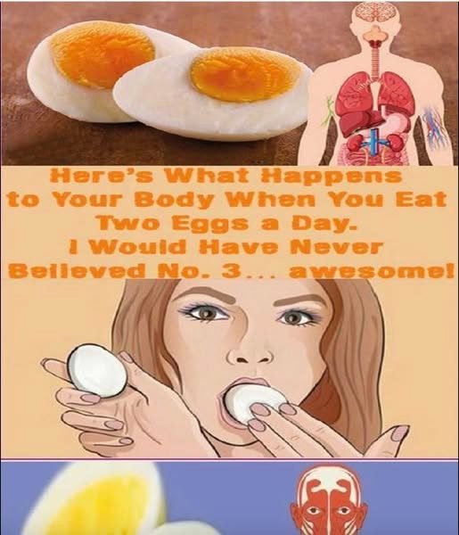 What happens if you eat two eggs a day