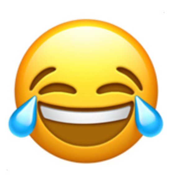 Family Resemblance and a Dose of Craic”