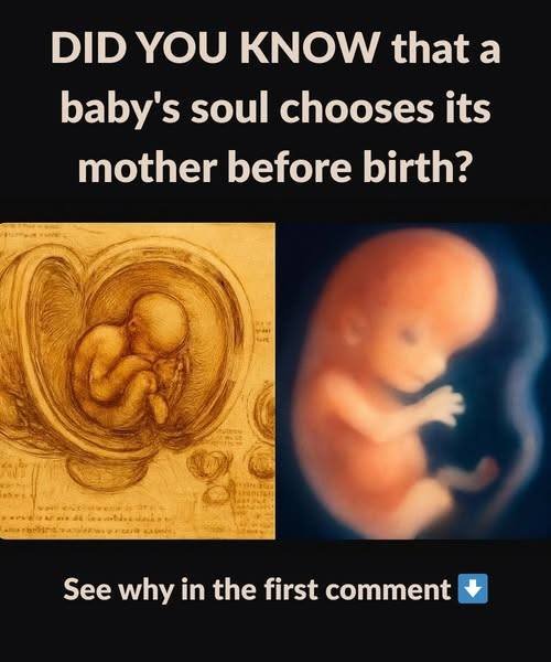 DID YOU KNOW that a baby’s soul chooses its mother before birth?