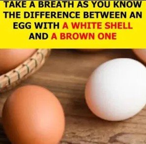 White eggs or brown eggs? Find out which one is the better option