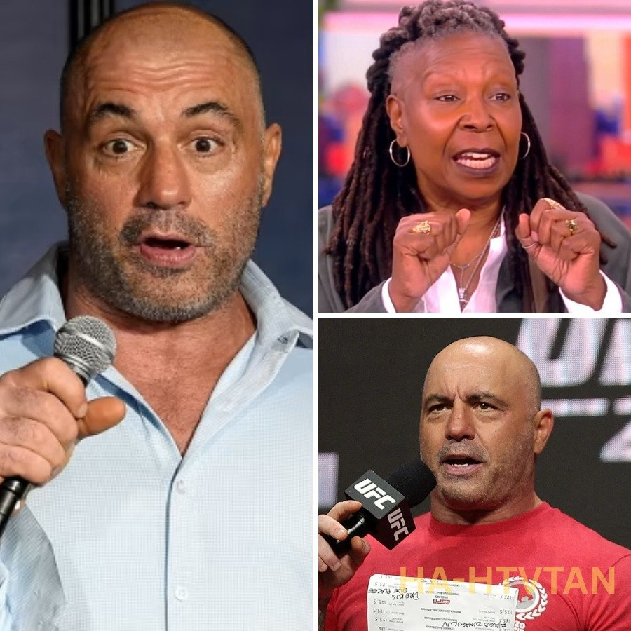 FOX NEWS BOMBSHELL: Joe Rogan SHUTS DOWN Whoopi Goldberg After Her Wild Allegations Against Elon Musk—“Enough With the Lies!”