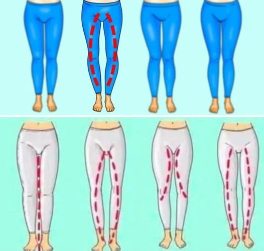 The Legs Of A Woman Can Say…