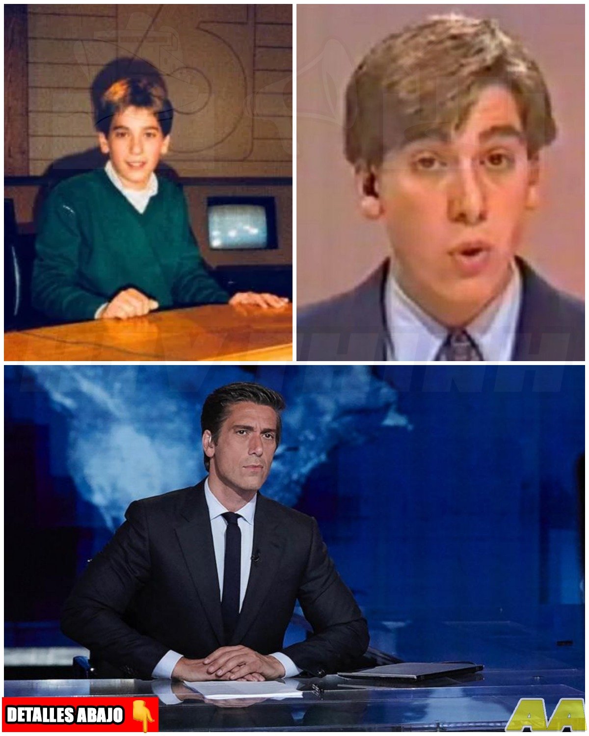 The Life of David Muir