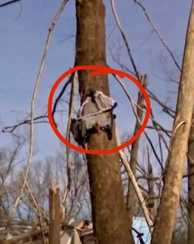 If This Is Not A Miracle, I Don’t Know What Is