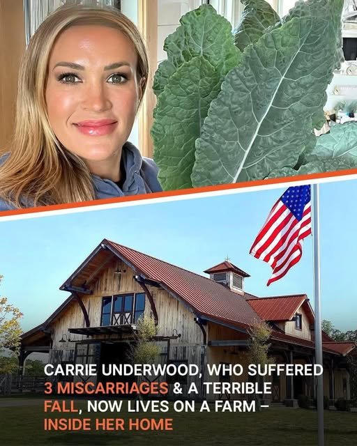 Inside Carrie Underwood’s Farm Where She Grows Her Own Veggies & Cares for Chickens – Pics