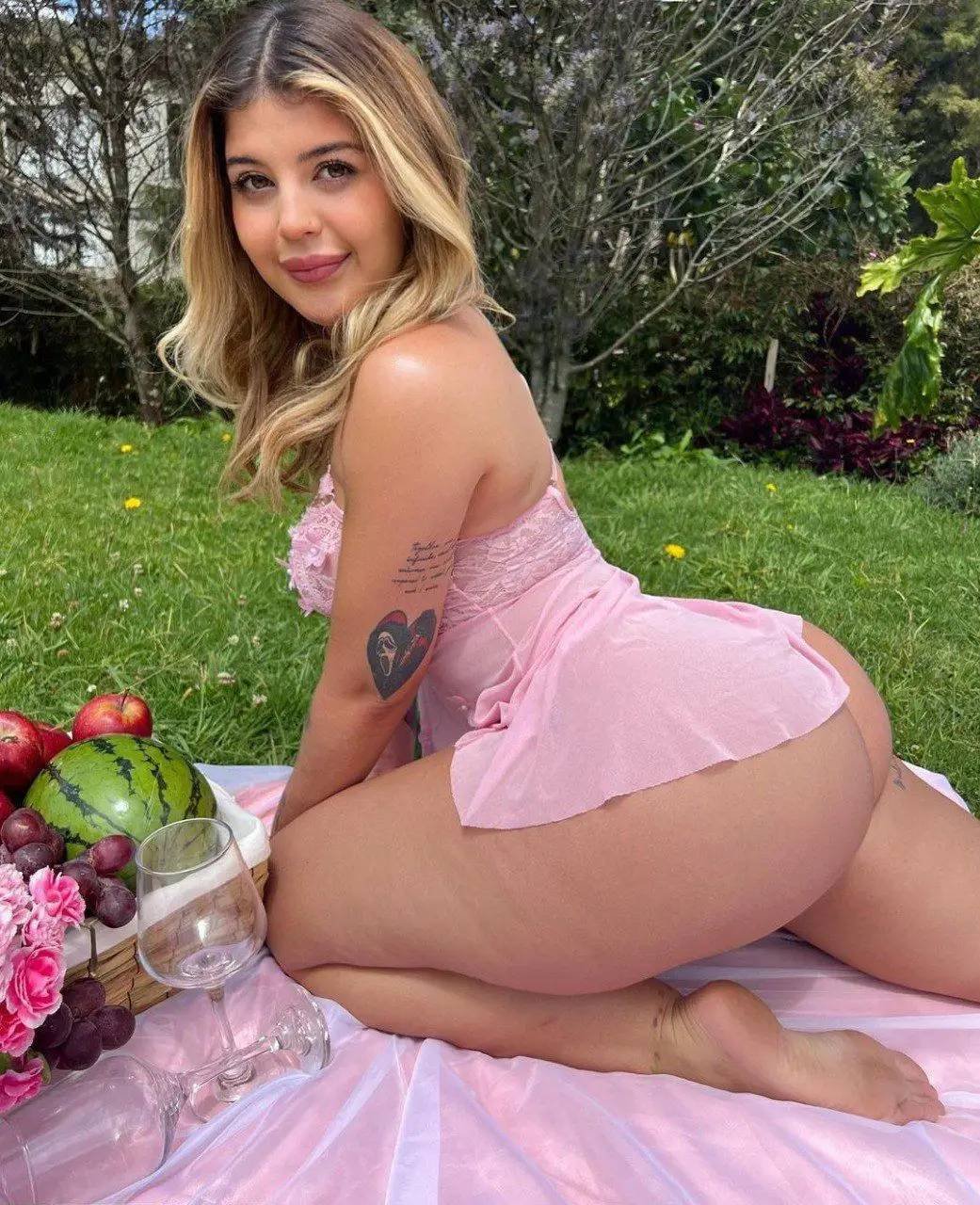 The Pink Dress at the Picnic