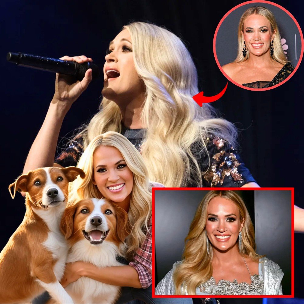 Carrie Underwood ignites the web with a shocking announcement: he will invest 20 million dollars to build a ‘paradise’ dedicated to rescuing stray dogs, promising love and a home to thousands of abandoned puppies.