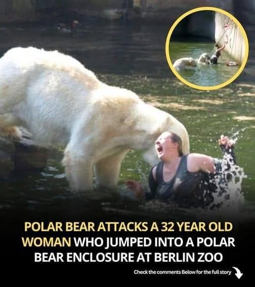 A 32-year-old woman who jumped into a polar bear enclosure at the Berlin Zoo was attacked by a polar bear