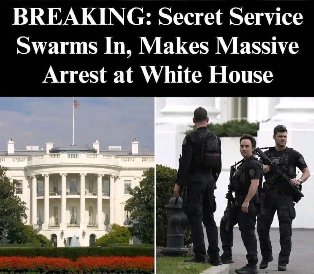 Secret Service Swarm As Man Climbs Over White House Fence