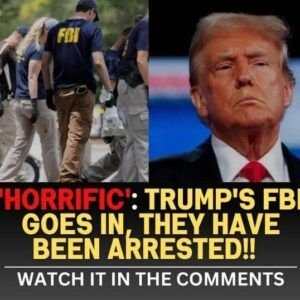 Texas Man Sentenced for Assaulting Border Patrol Agent Amid Increased Immigration Crackdowns