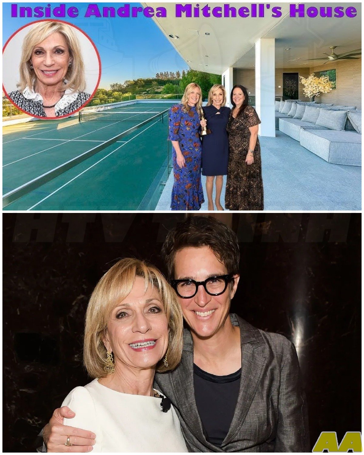 The Lifestyle of Andrea Mitchell