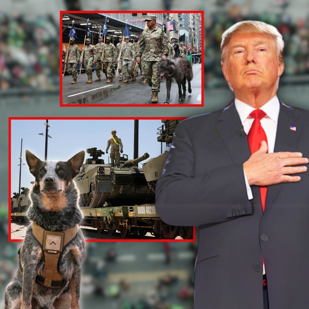Trump’s military parade includes a dog and pony show. And the dog is named Doc Holliday