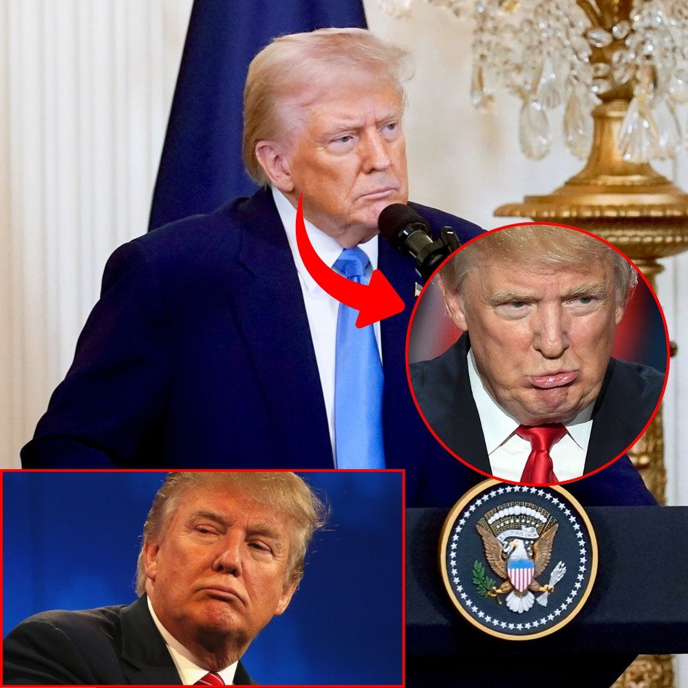 Trump Slams Reporter on Camera Who Tells Him the Meaning of His ‘TACO’ Nickname: ‘Don’t Ever Say What You Said’