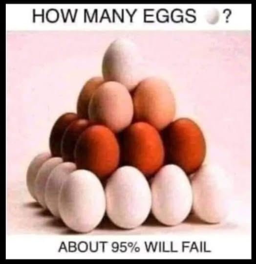 How many eggs can you see?