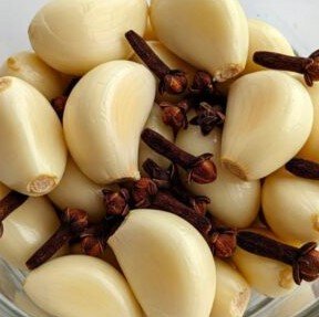 Garlic and cloves: two treasures for health