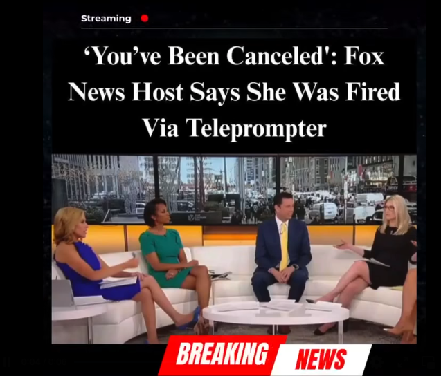 Former News Anchor Reveals She Was Fired via Teleprompter—Calls Out Fox Culture Amid Network Shakeups