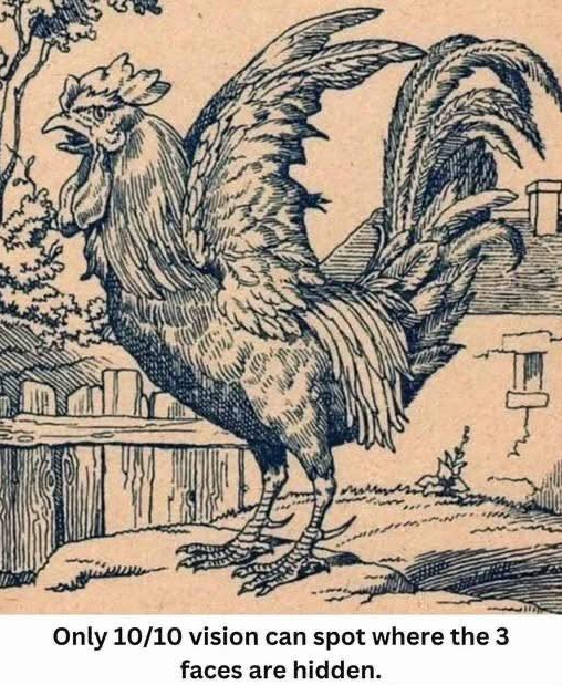 Do Your Eyes Have 10/10 Vision? Find the 3 Hidden Faces Today!