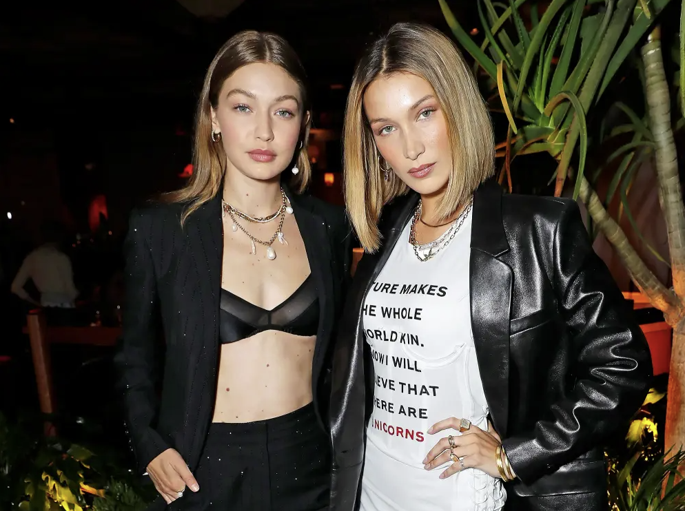 Gigi Hadid and Bella Hadid Reveal Secret Half-Sister Aydan Nix