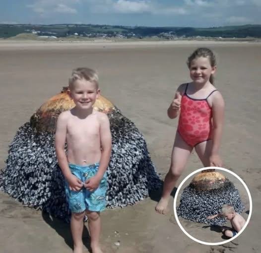 Dad Shares Innocent Photo Of His Son At Beach, Authorities Act Fast After Spotting Small Detail (VIDEO)