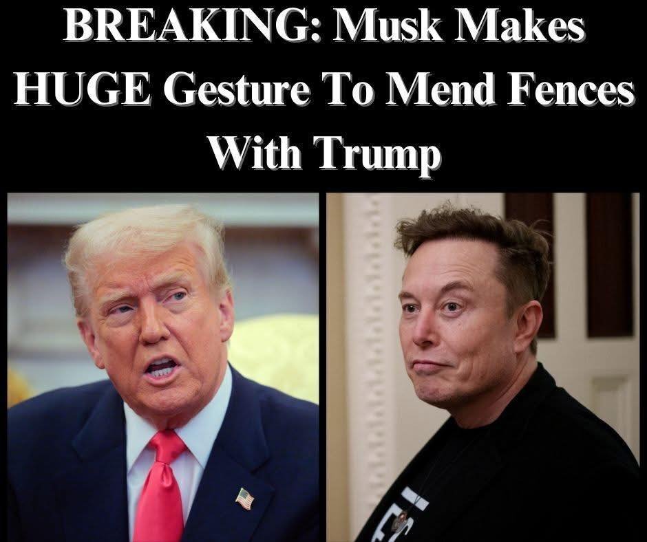 Musk Deletes X Post