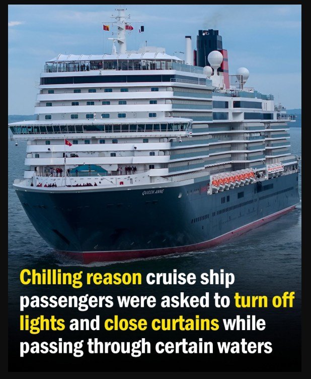 Cruise Ship Passengers Told to Shut Curtains and Lights for a Startling Reason While Sailing Through Certain Waters