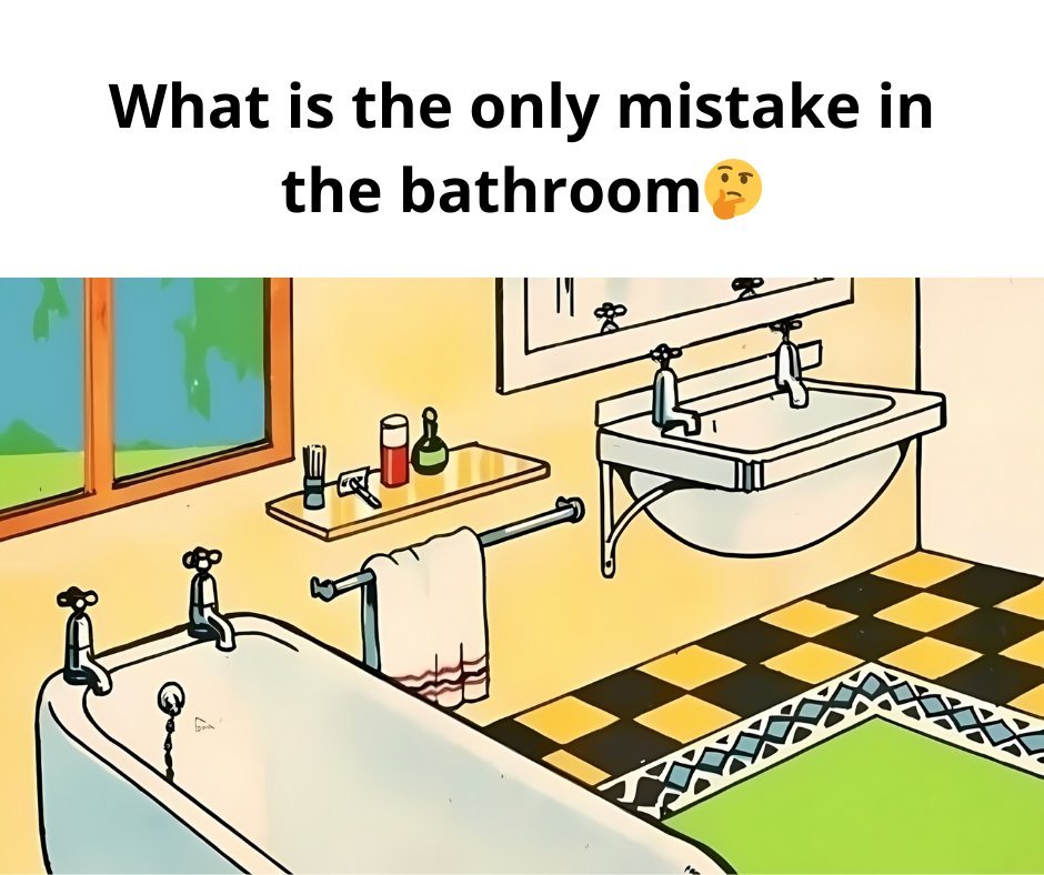 What is the only mistake in the bathroom (VIDEO)