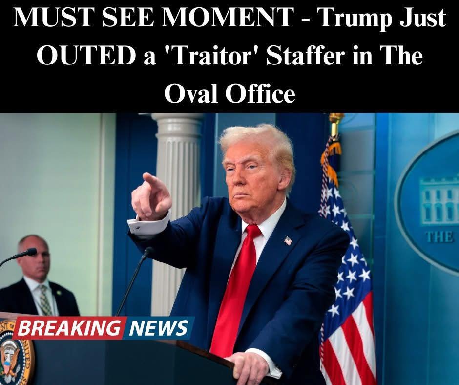 Probes Into Former Staffers