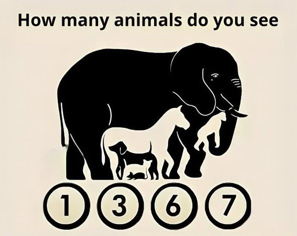 How many animals can you see in this picture (VIDEO)