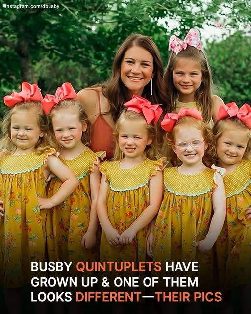 TV Show Stars Danielle Adam Busby Are Proud Parents of 6 Kids, Including Quintuplet Daughters Meet Their Children