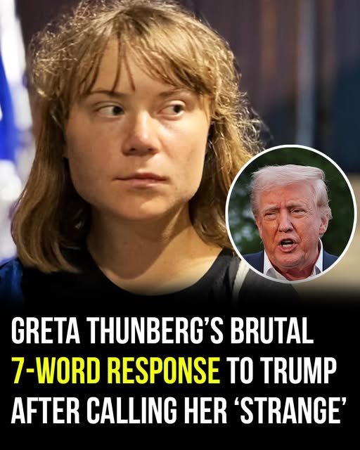 After being called āstrangeā by Donald Trump, Greta Thunberg delivers a sharp comeback