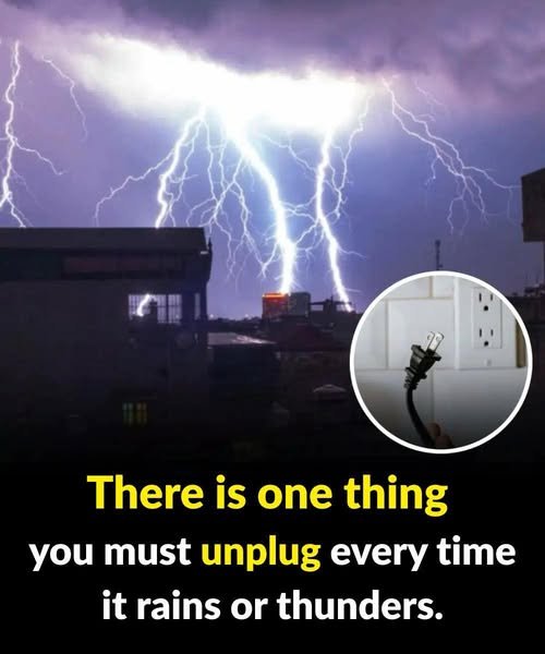 There is one thing you must unplug every time it rains or thunders.