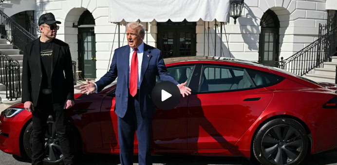 What does the Trump-Musk feud mean for Tesla stock? Experts weigh in.